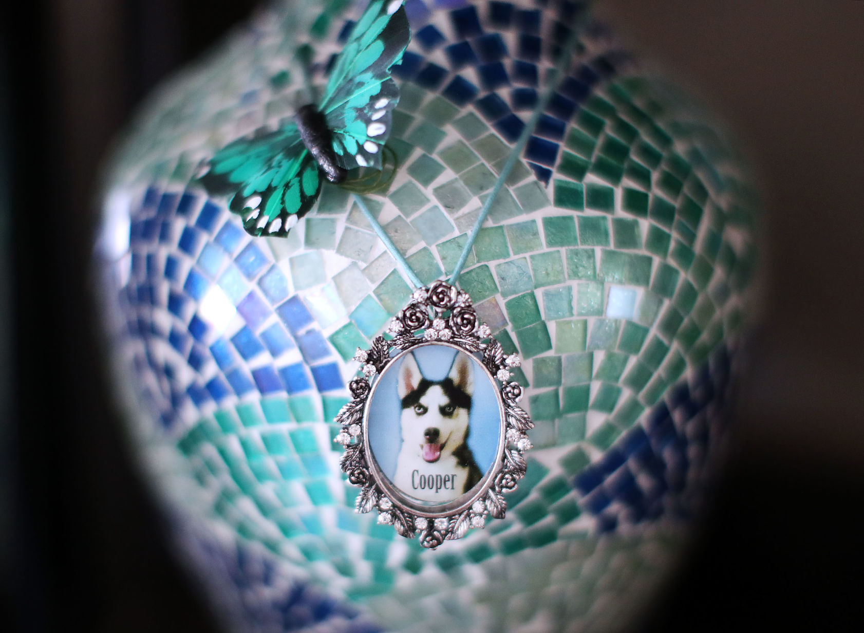 JVG_201029_COOPER03